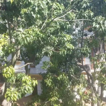 Increible En Urb El Patio Denia