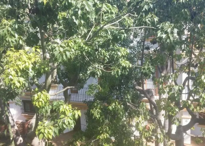 Increible En Urb El Patio Denia